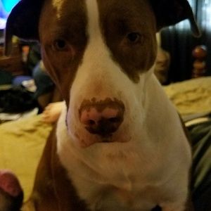 Meet your Posher, Pam